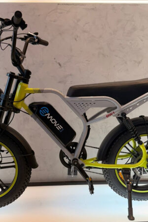 EMOVE - BW1 (750w)